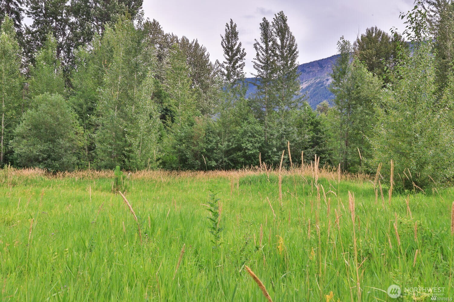 0 Nna Lake Wenatchee Highway Property Photo