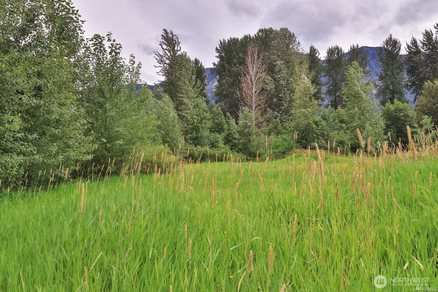 0 Nna Lake Wenatchee Highway Property Photo 2
