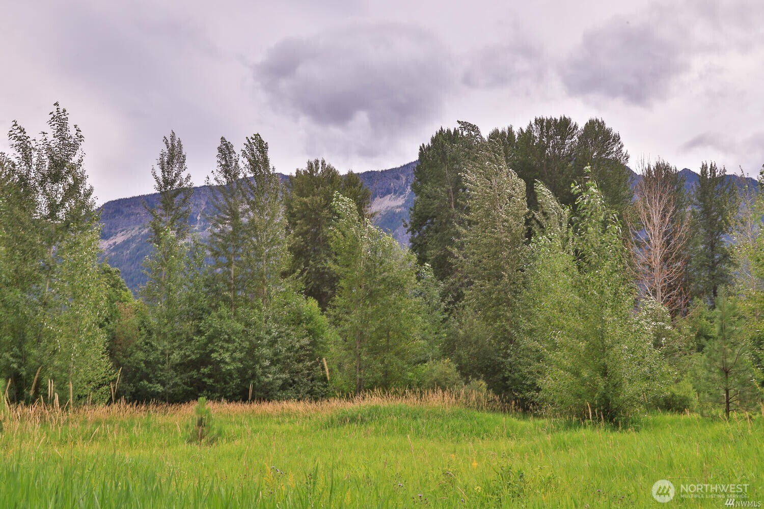 0 Nna Lake Wenatchee Highway Property Photo 4
