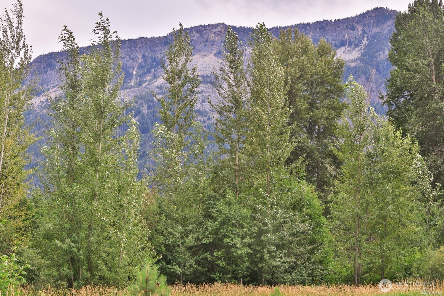 0 Nna Lake Wenatchee Highway Property Photo 8