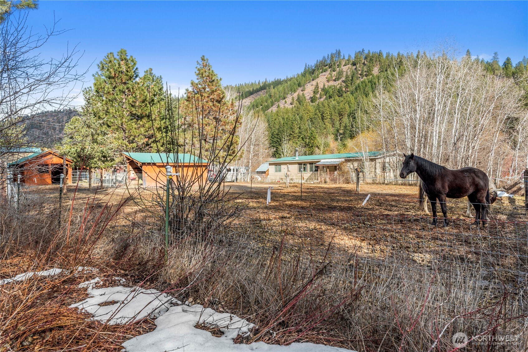 Chumstick Real Estate Listings Main Image