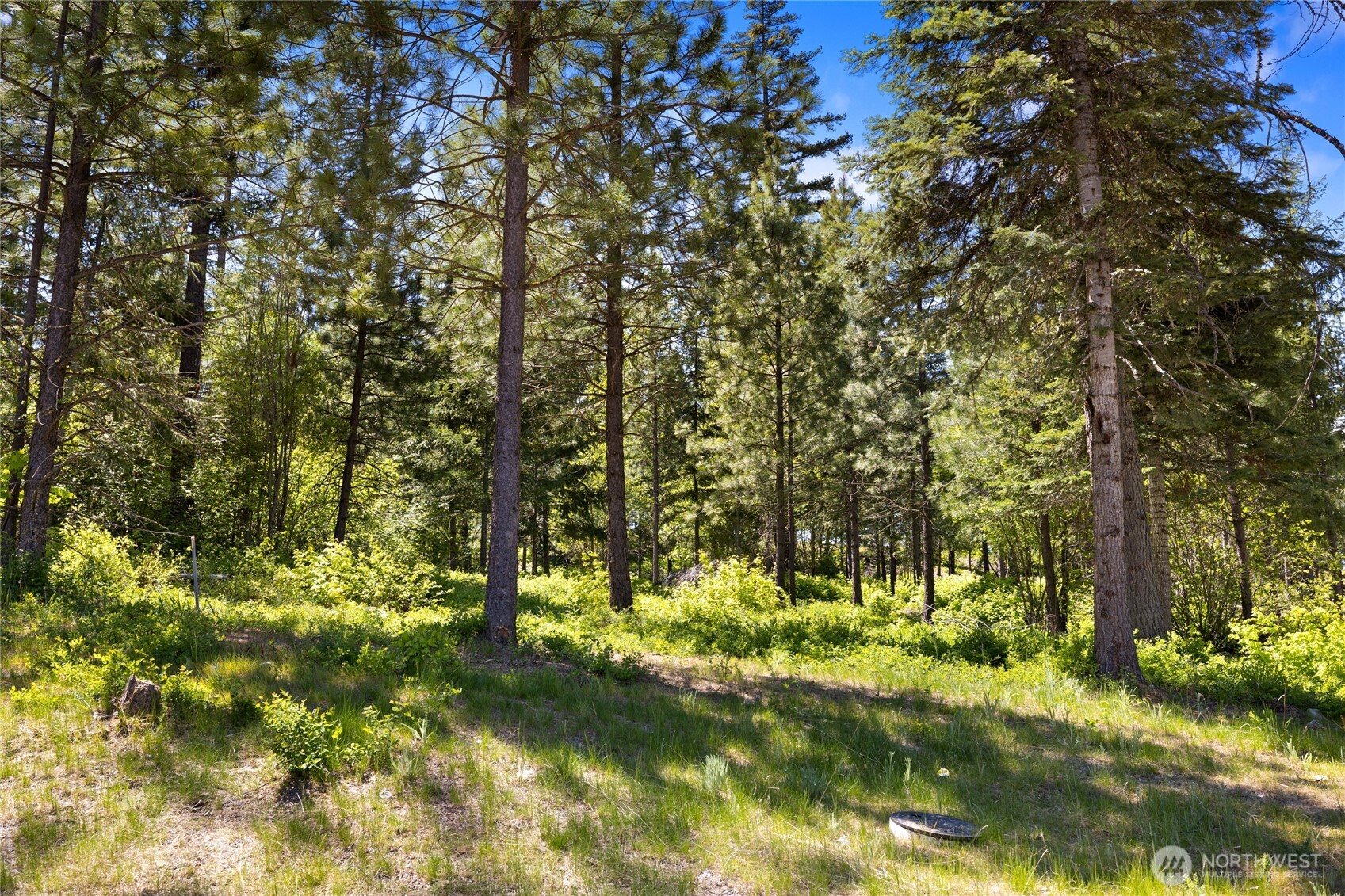 21 Old Grove Trail Property Photo 9
