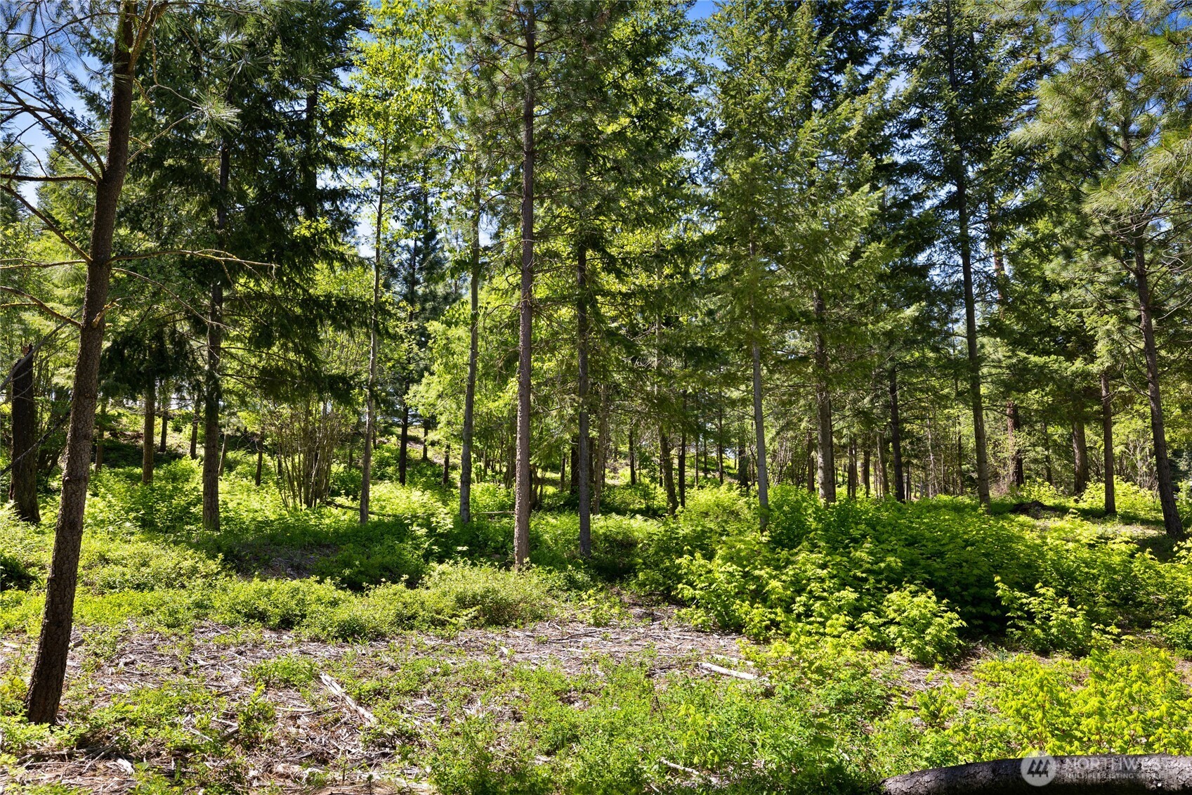 21 Old Grove Trail Property Photo 12