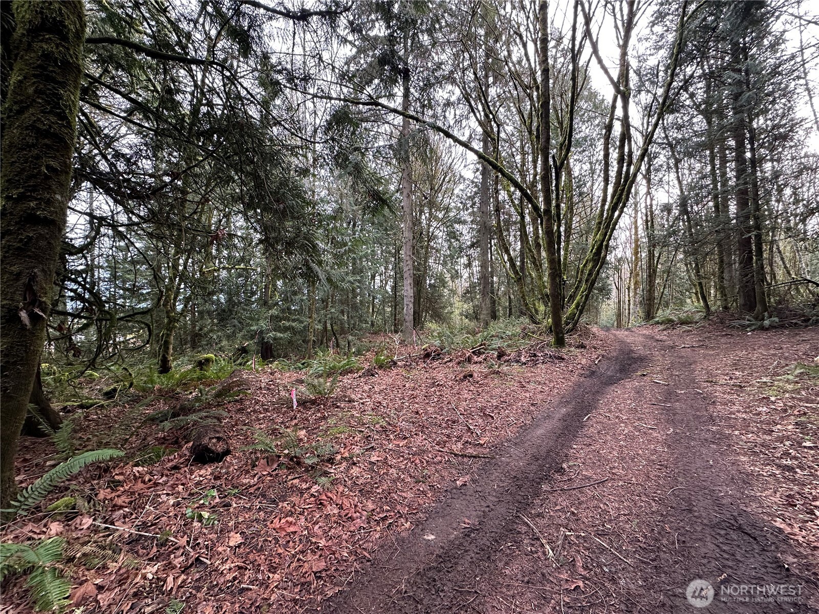 16 Lots Nevada Avenue Property Photo