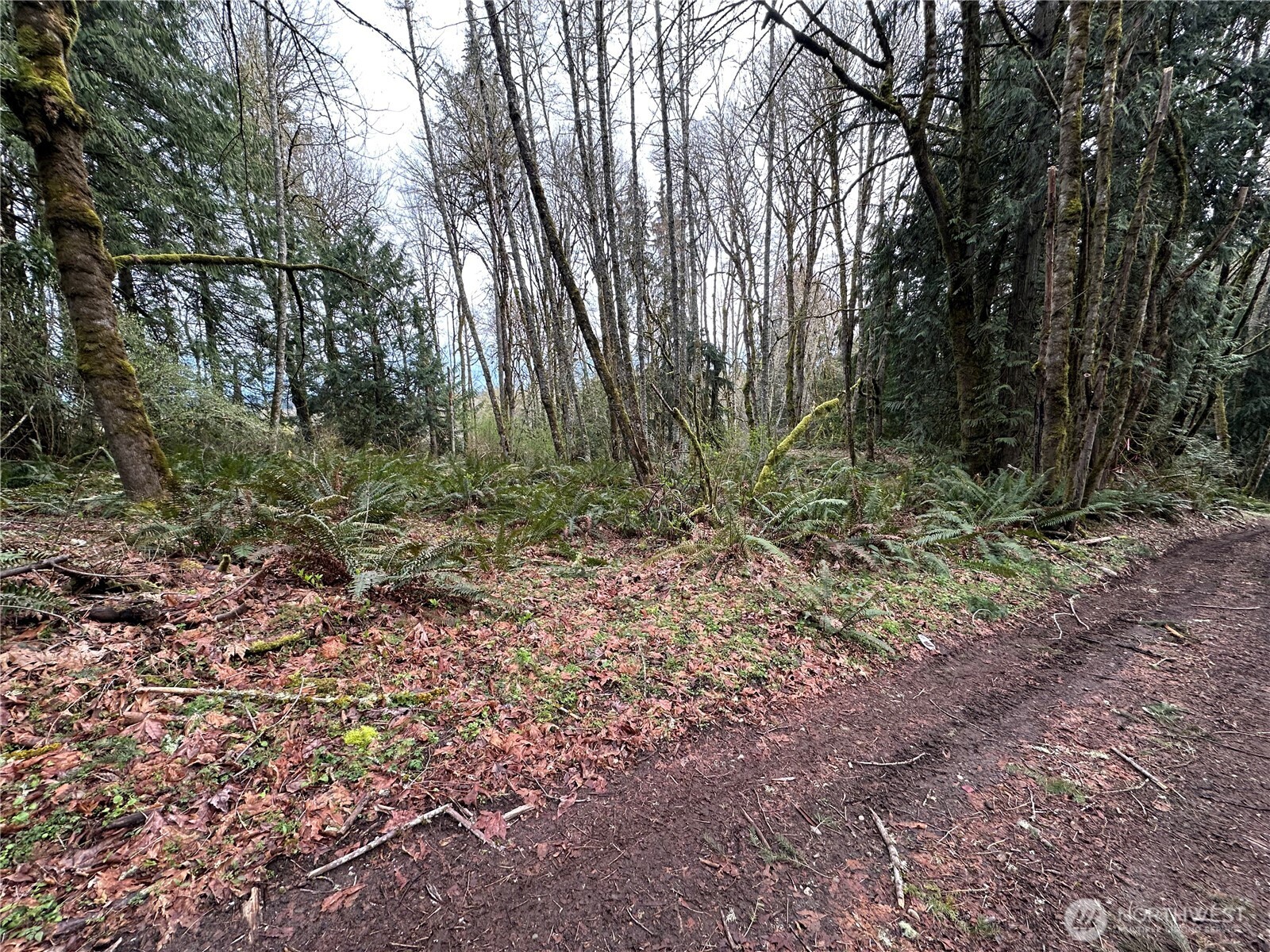 16 Lots Nevada Avenue Property Photo 2