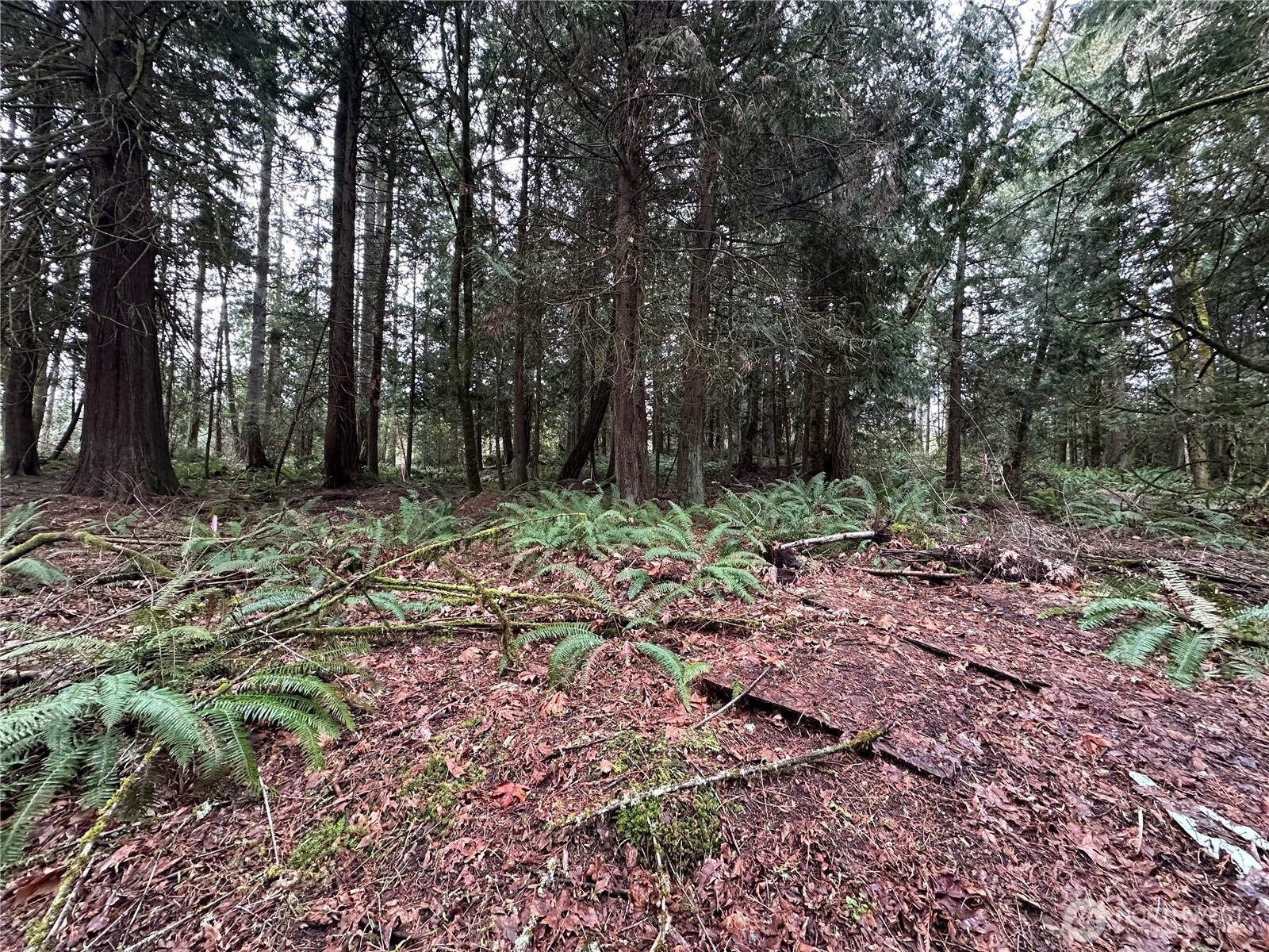16 Lots Nevada Avenue Property Photo 3
