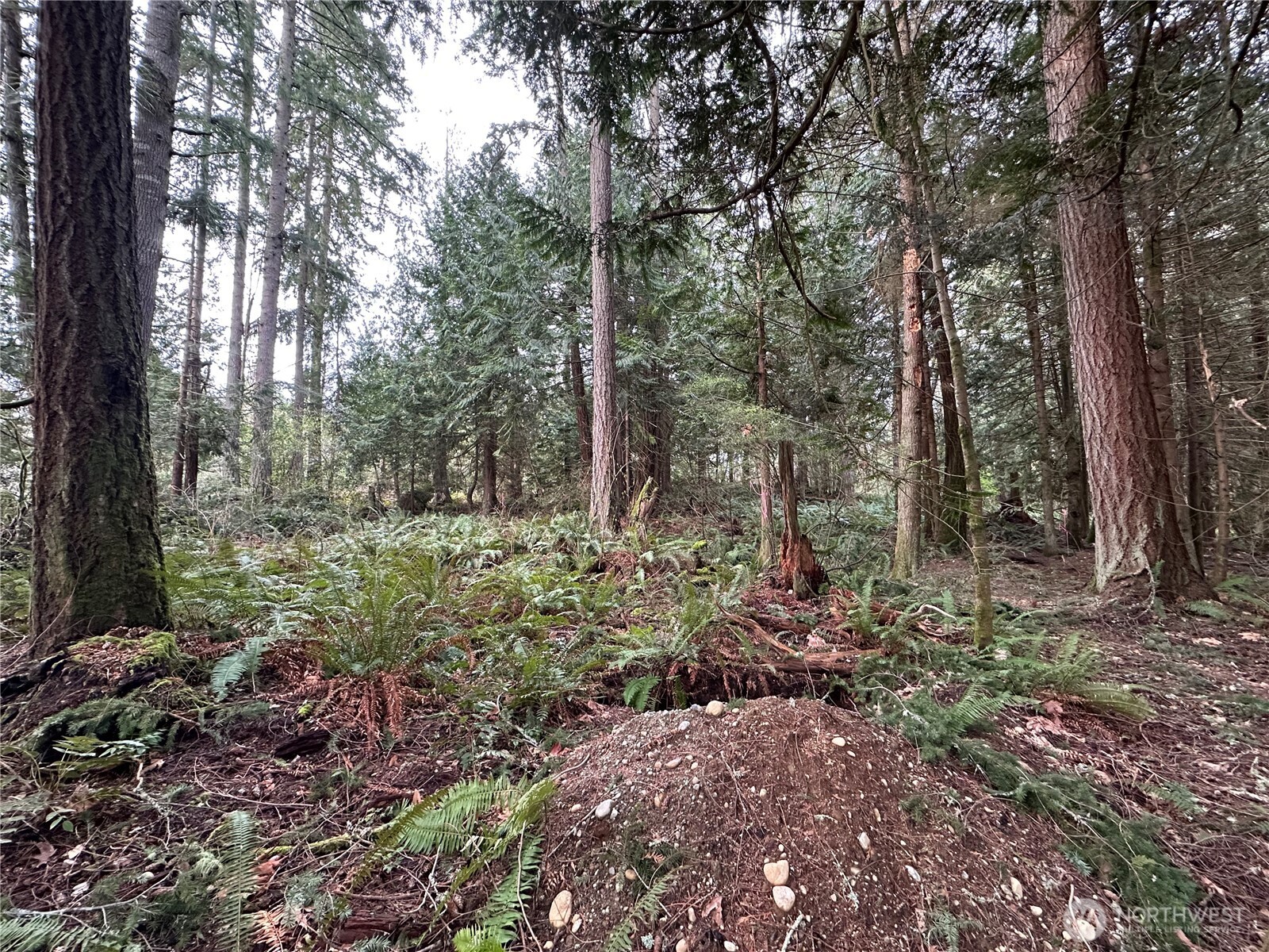 16 Lots Nevada Avenue Property Photo 8
