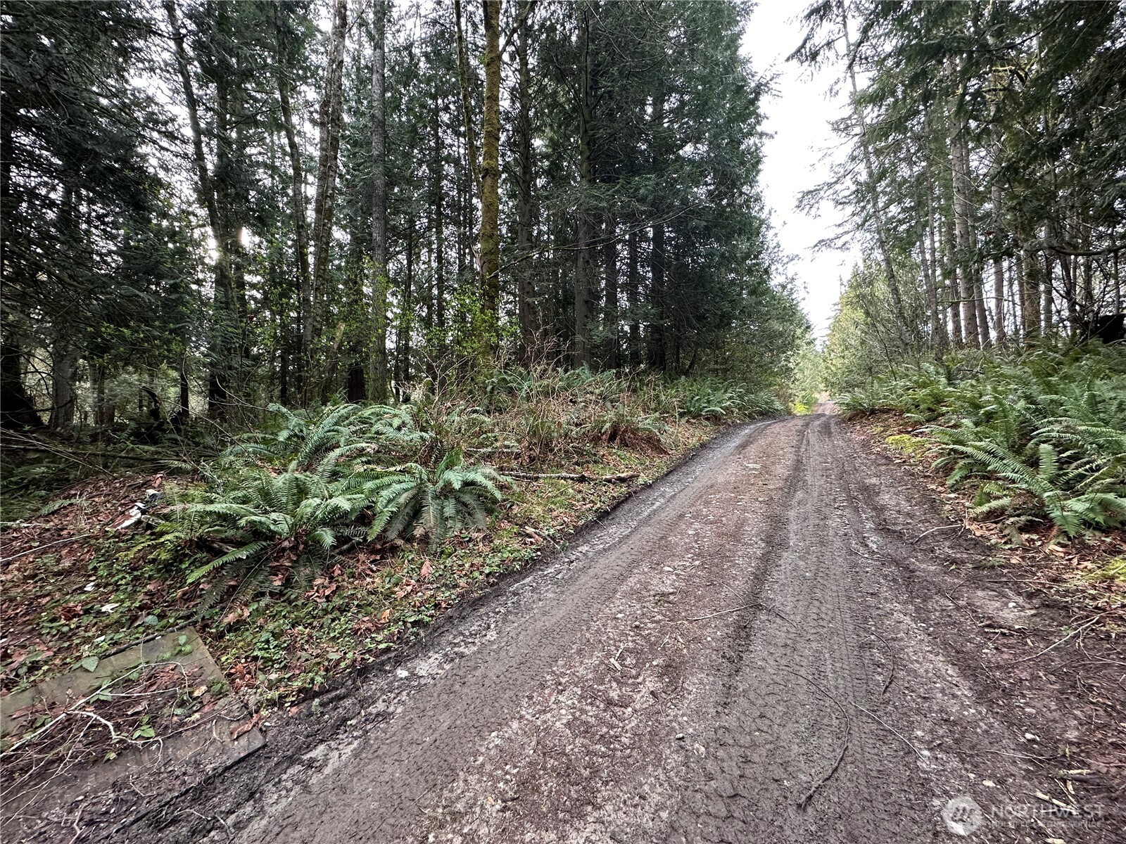 16 Lots Nevada Avenue Property Photo 9