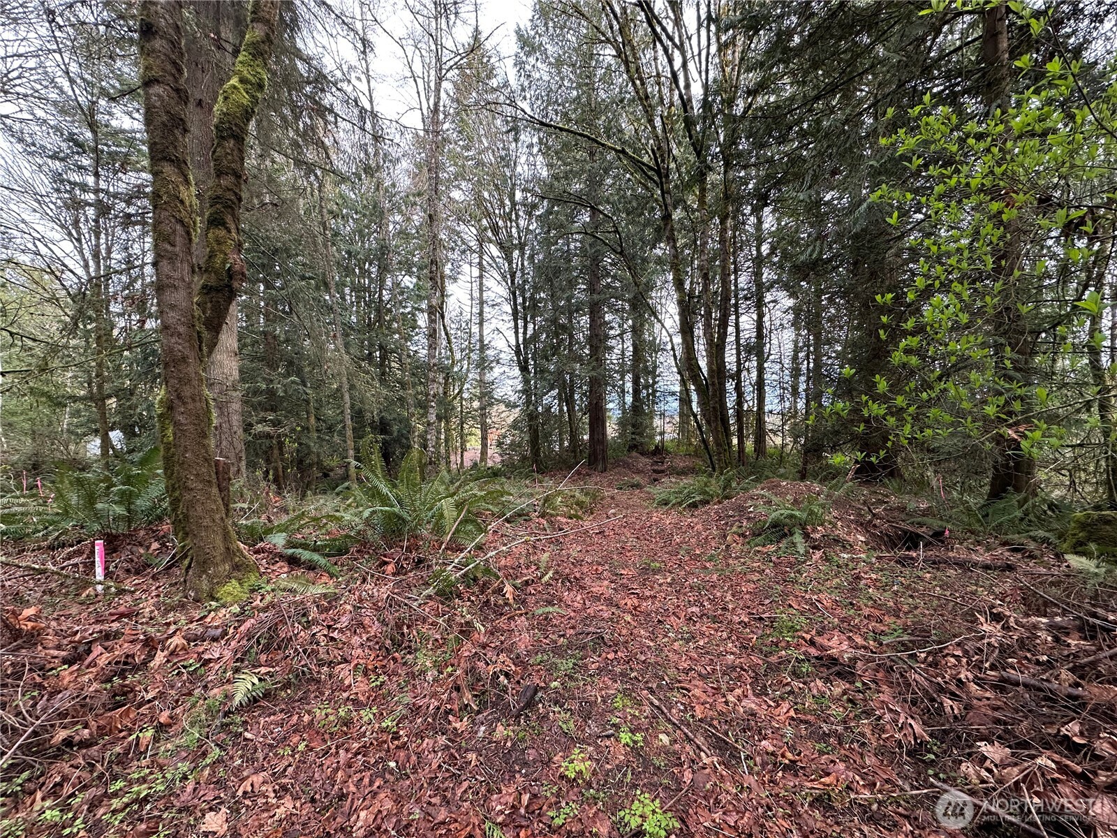22 Lots Nevada Avenue Property Photo 5