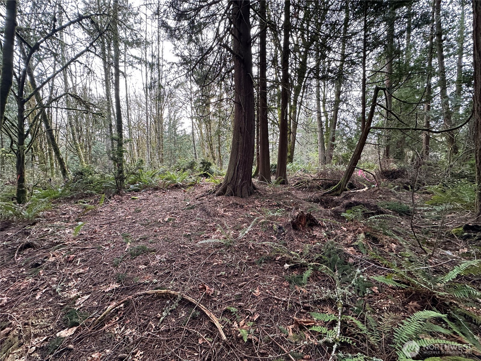22 Lots Nevada Avenue Property Photo 7