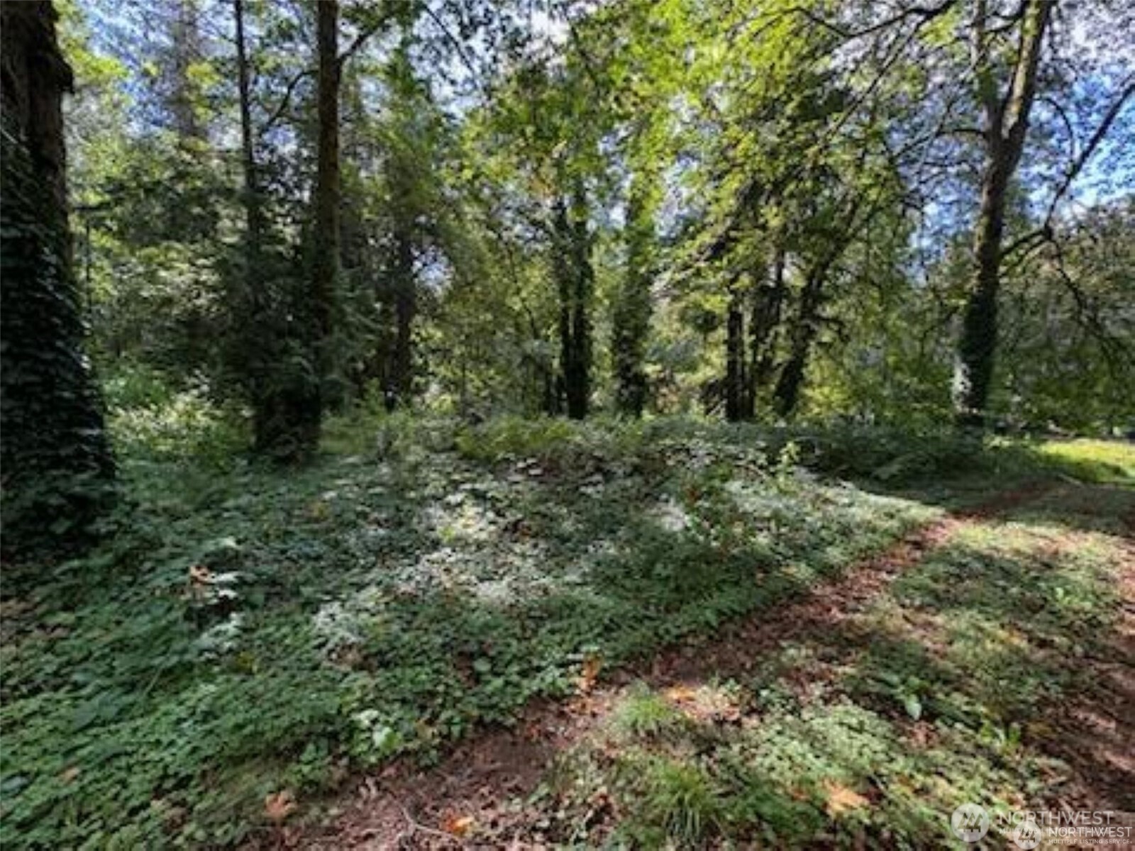 10516 62nd Avenue Property Photo 2