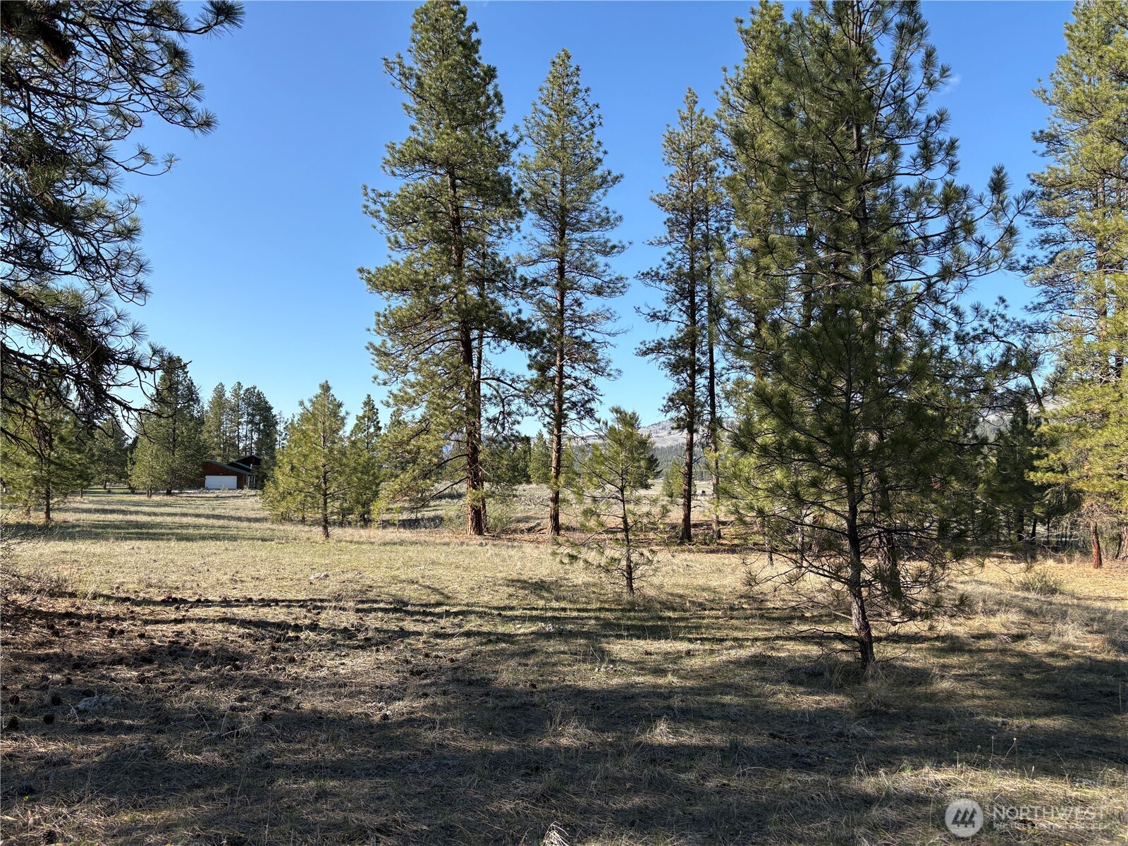 0 E Tamarack Road Property Photo 1