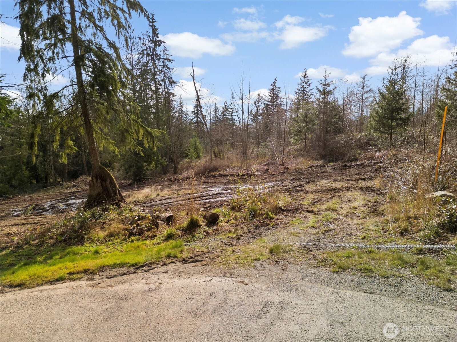 7220 Cliffside Lane Property Photo 8