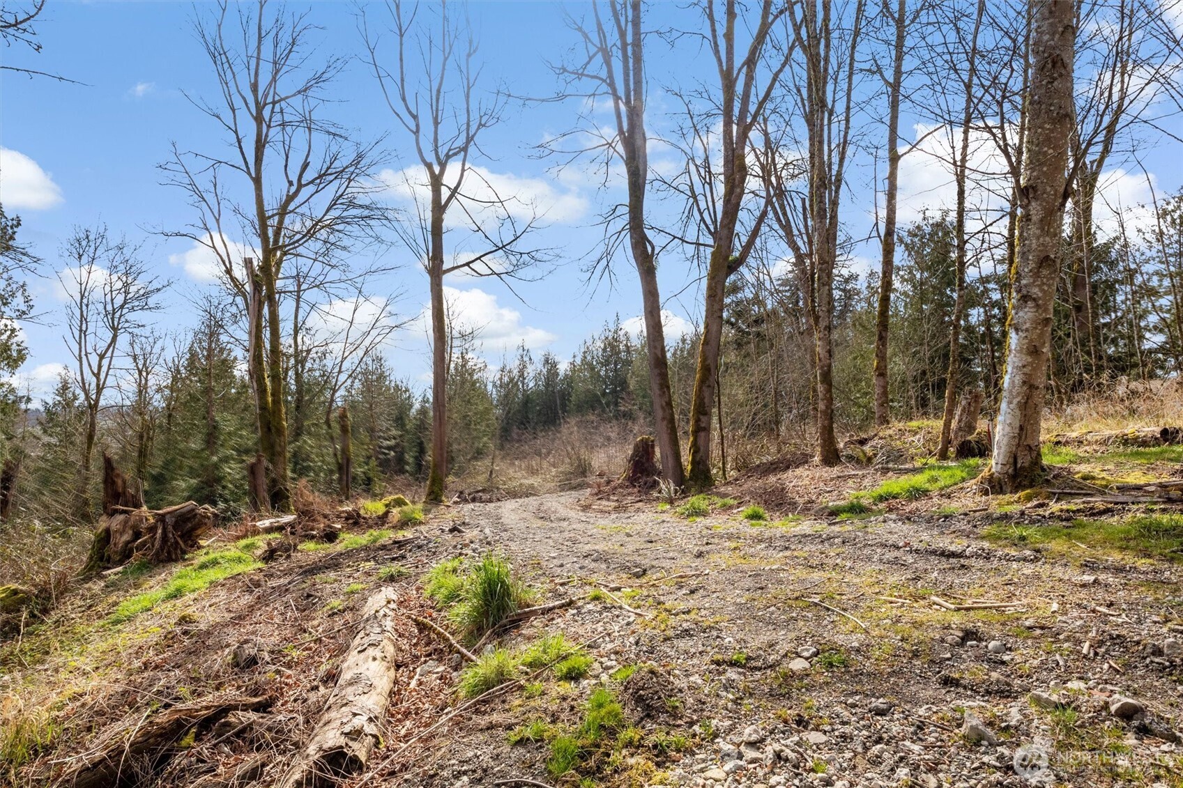 7220 Cliffside Lane Property Photo 18