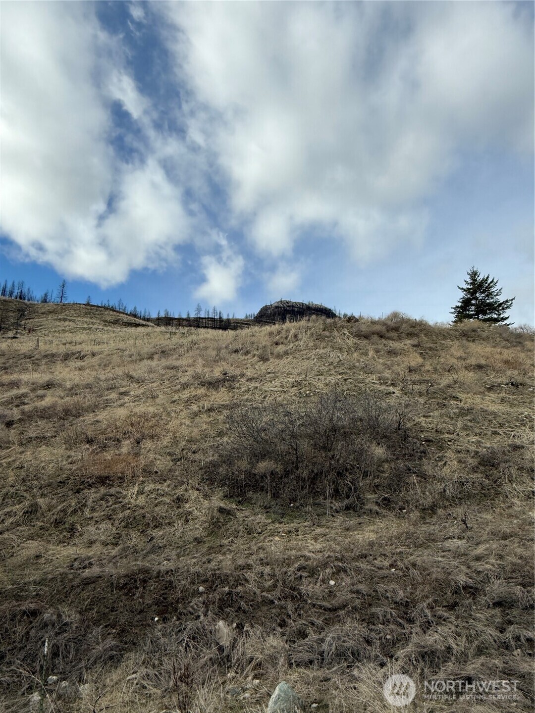 28 Eagles Bluff Road Property Photo 6