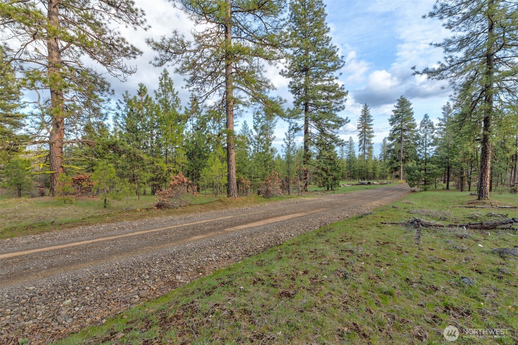 16 Greyback Mt Road Property Photo 5