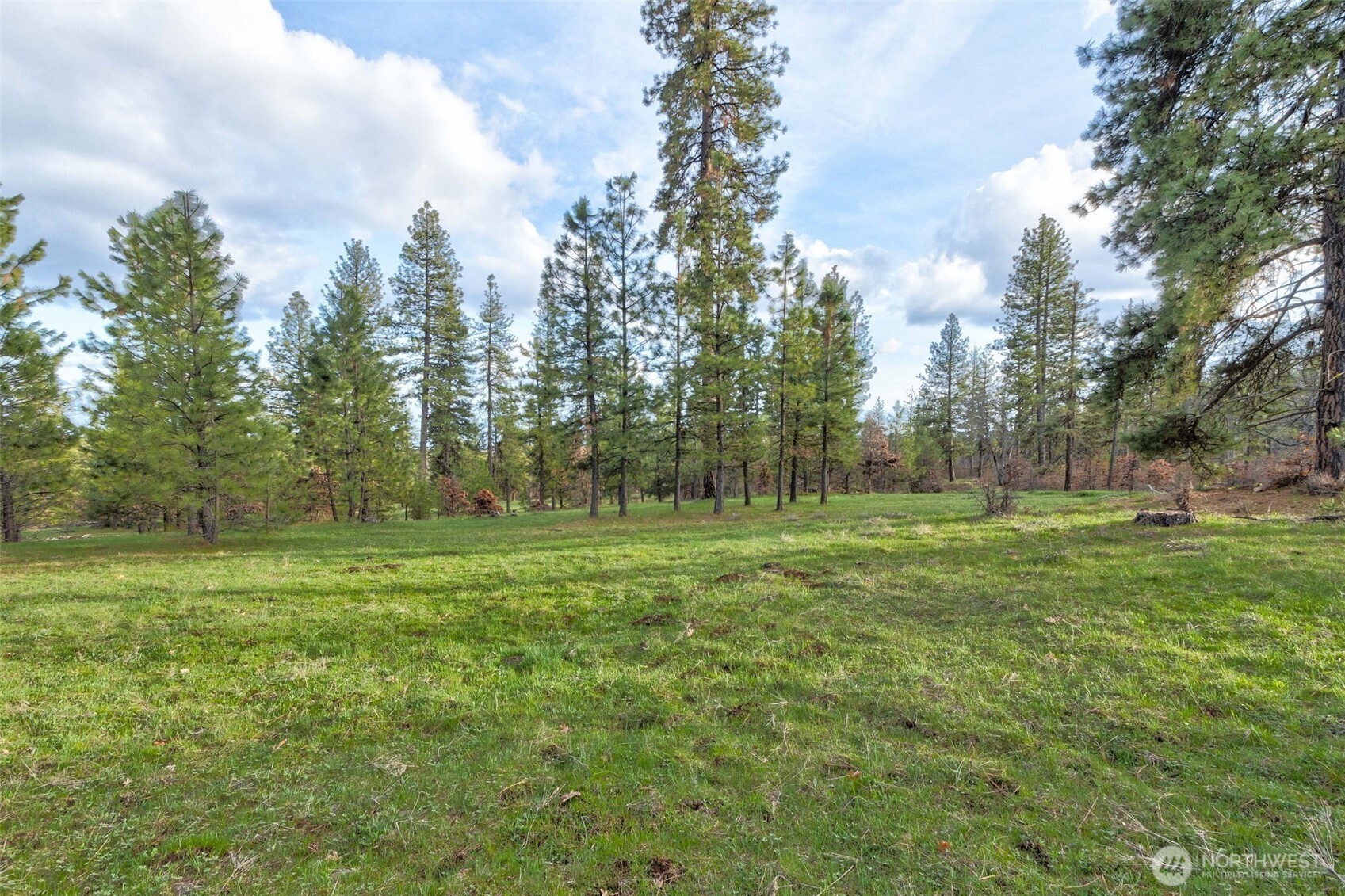 16 Greyback Mt Road Property Photo 6