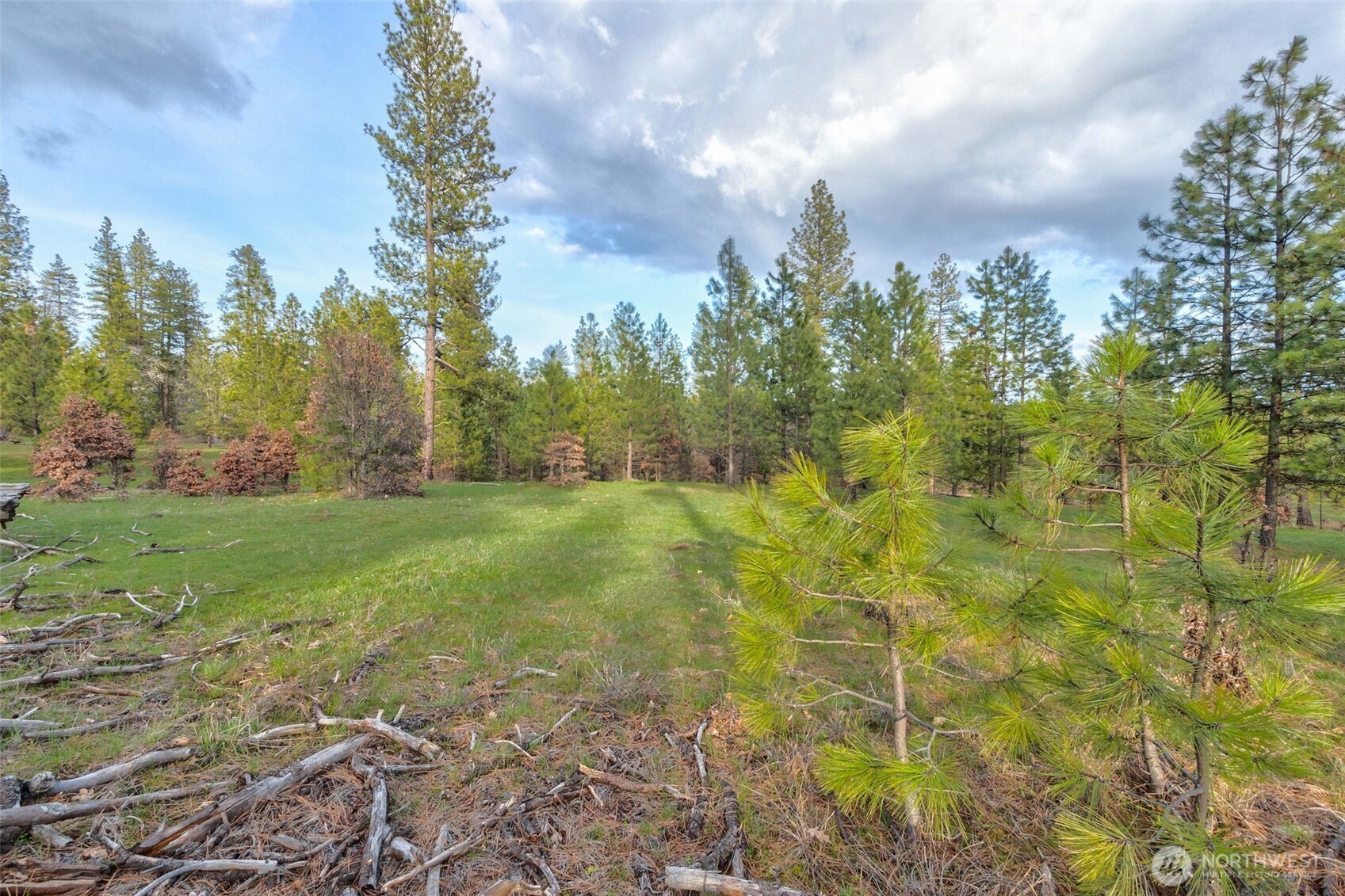 16 Greyback Mt Road Property Photo 7