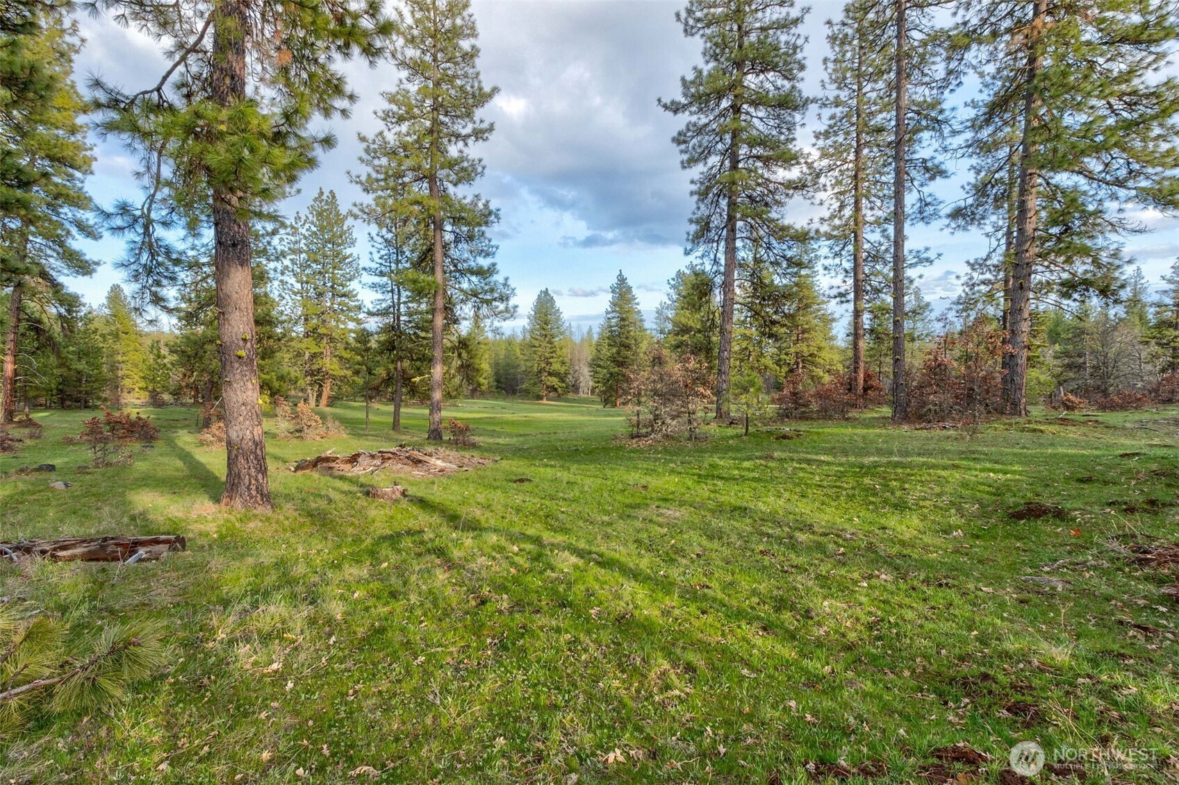 16 Greyback Mt Road Property Photo 9