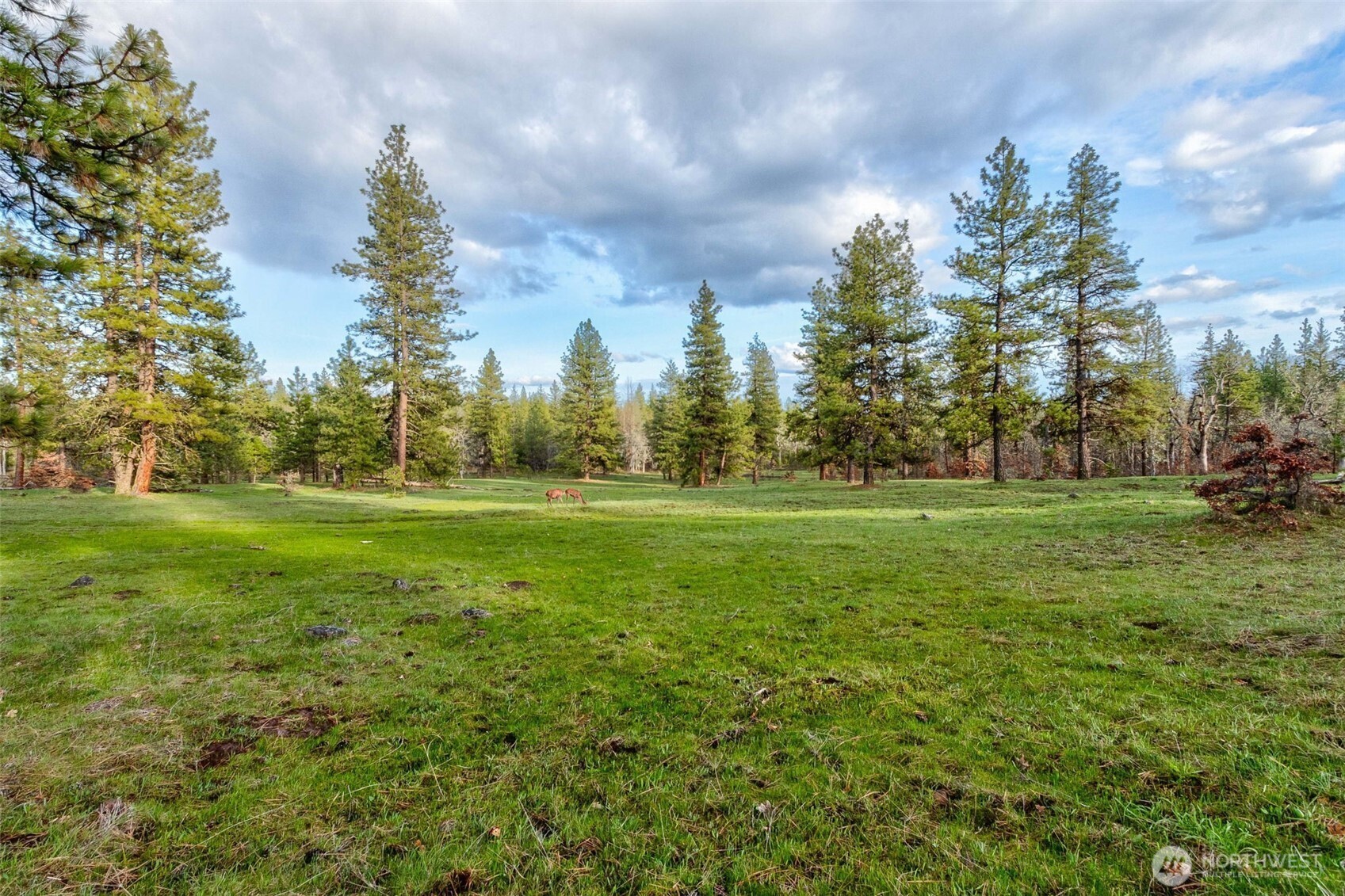 16 Greyback Mt Road Property Photo 10