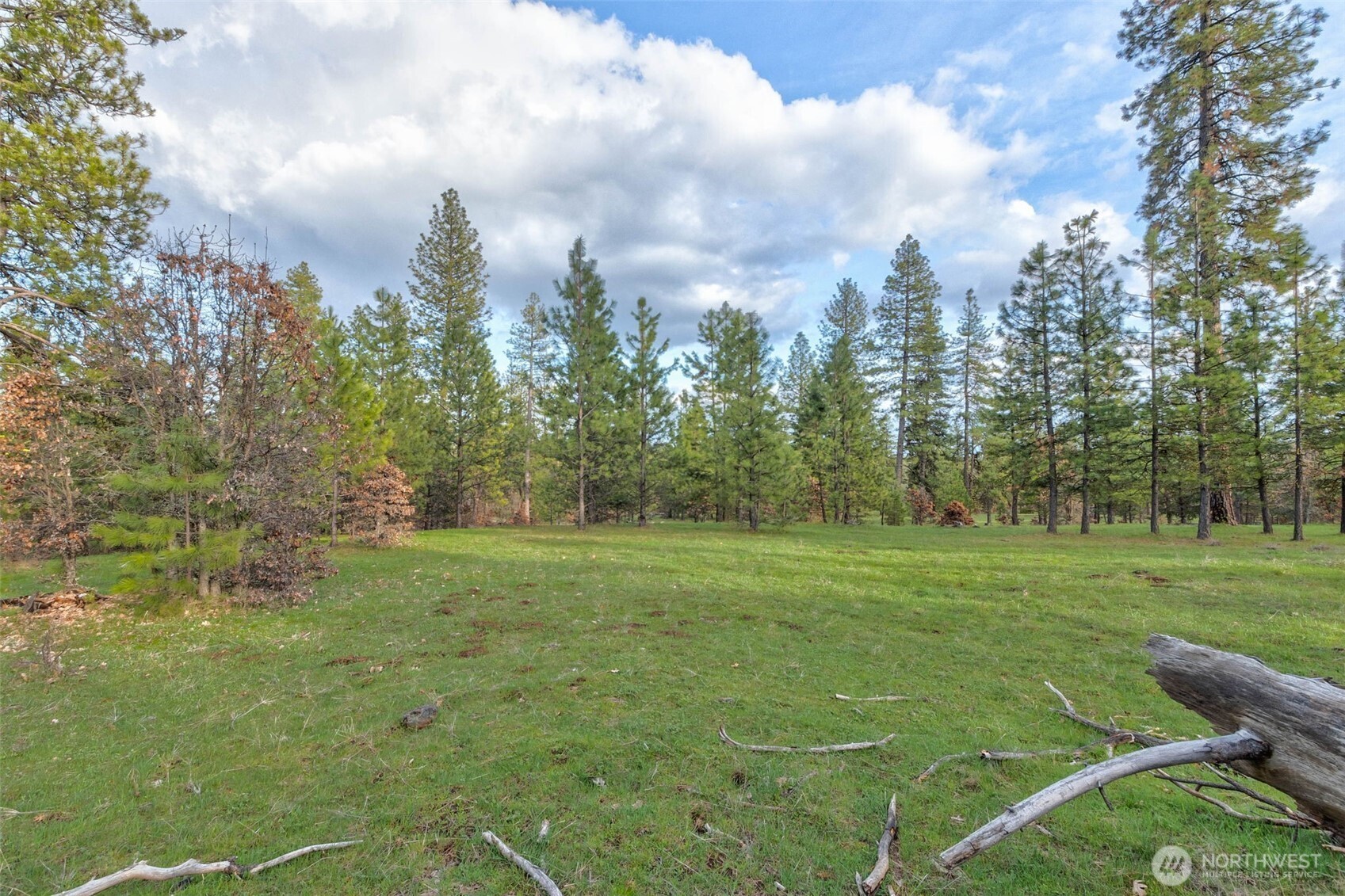 16 Greyback Mt Road Property Photo 19