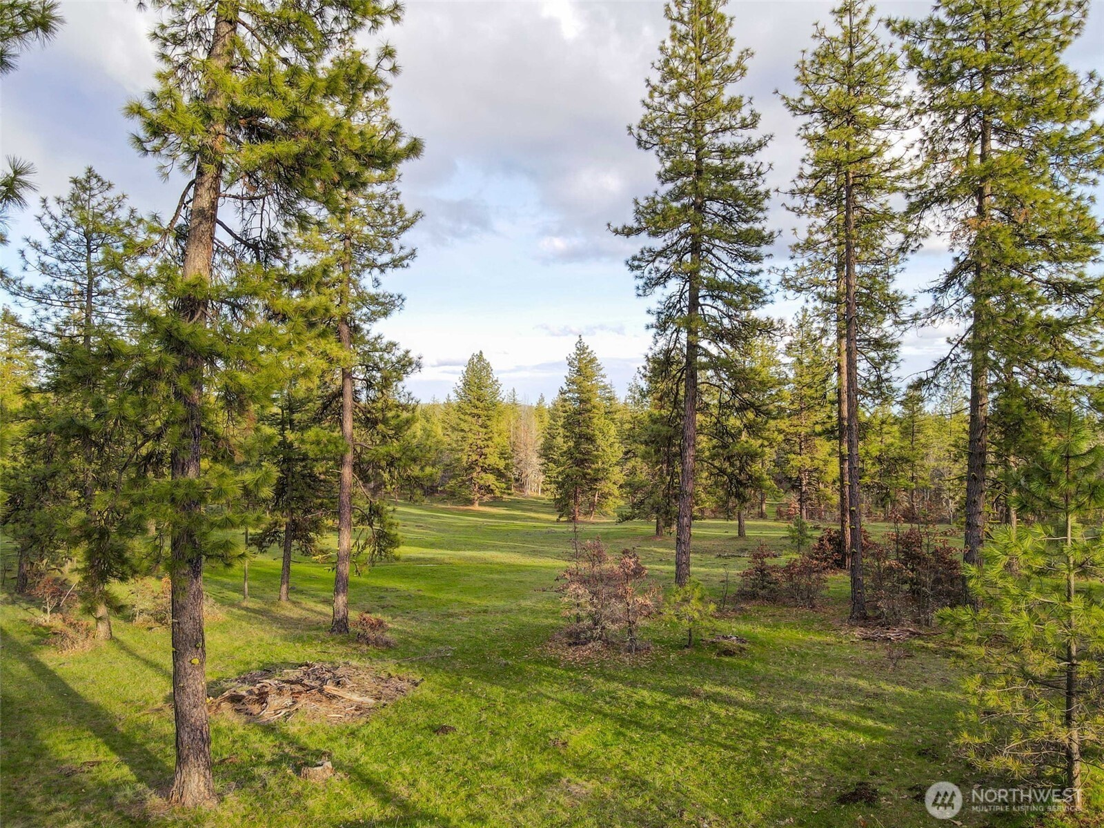 16 Greyback Mt Road Property Photo 20