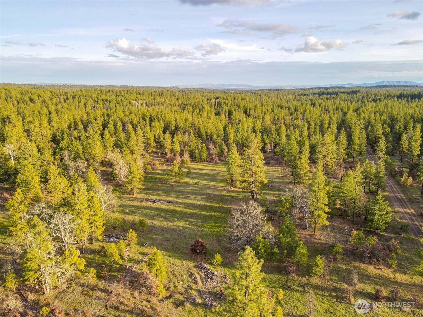 16 Greyback Mt Road Property Photo 25