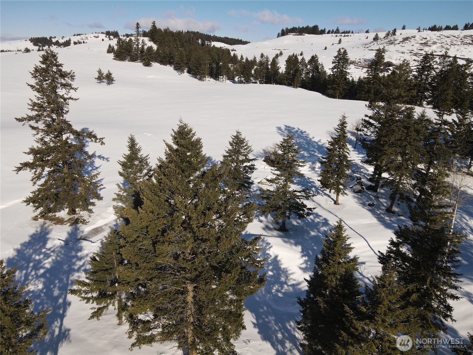 100 Tbd S Teal Lake Road Property Photo 10