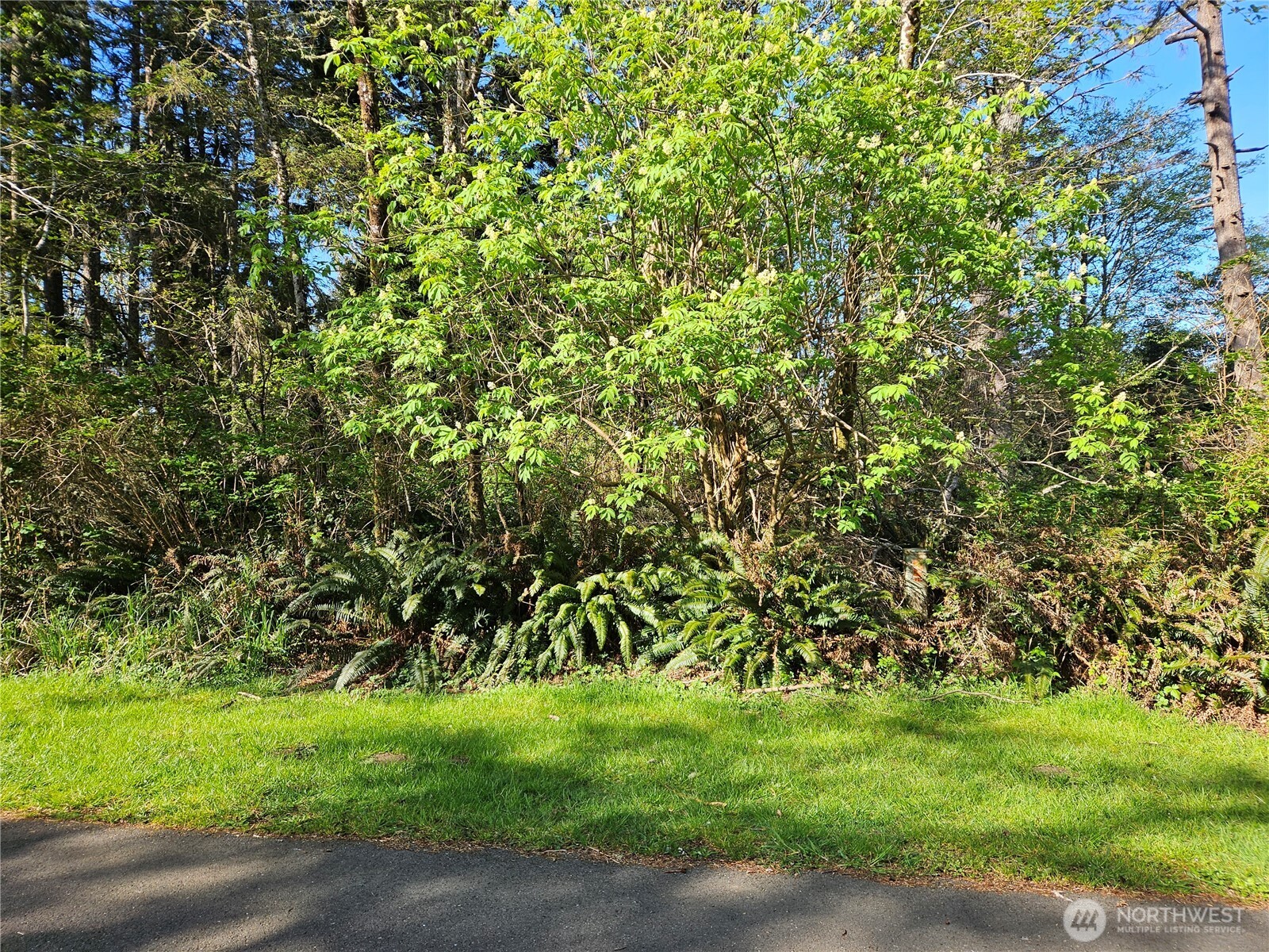 699 & 701 Chenois Avenue Property Photo 13