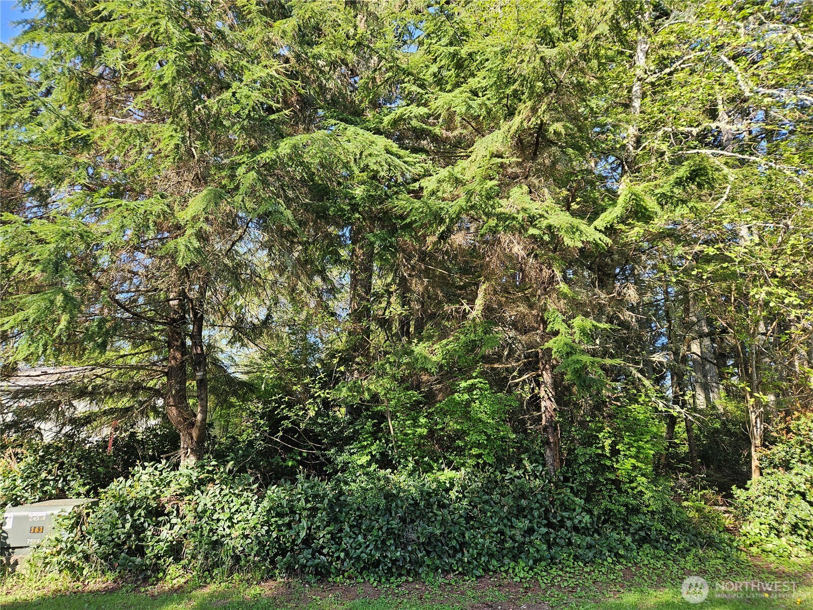 699 & 701 Chenois Avenue Property Photo 15