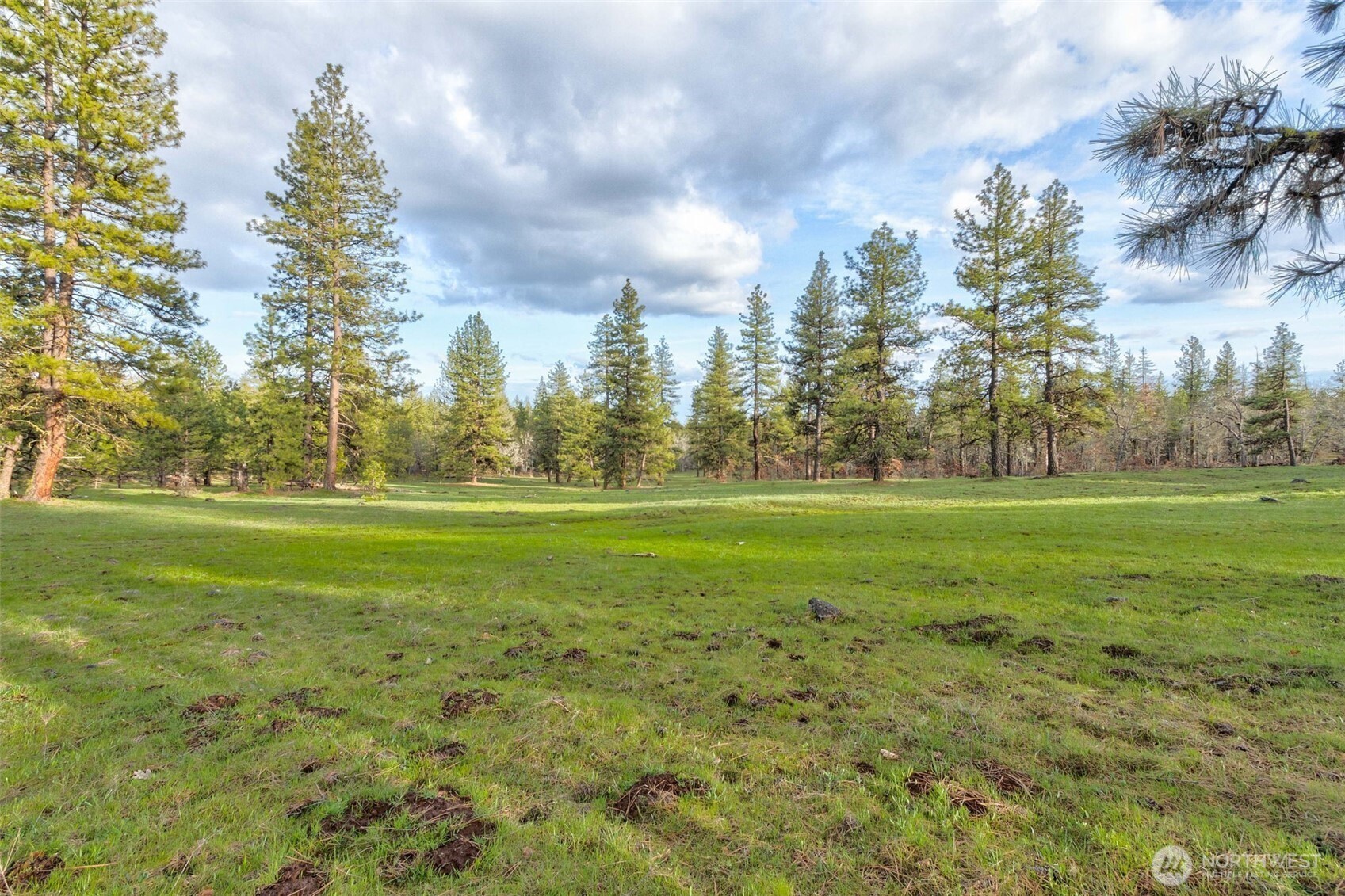 20 Greyback Mt Road Property Photo