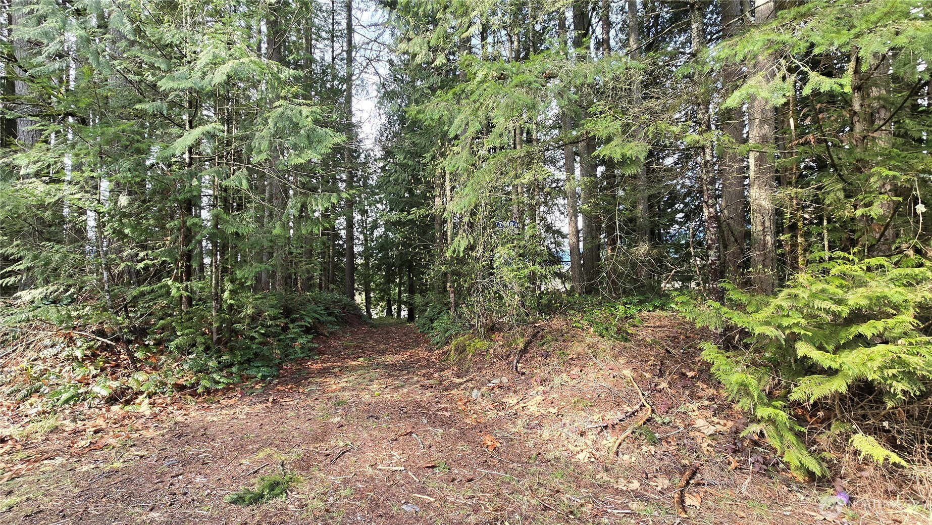 7948 Fir Street Property Photo 2