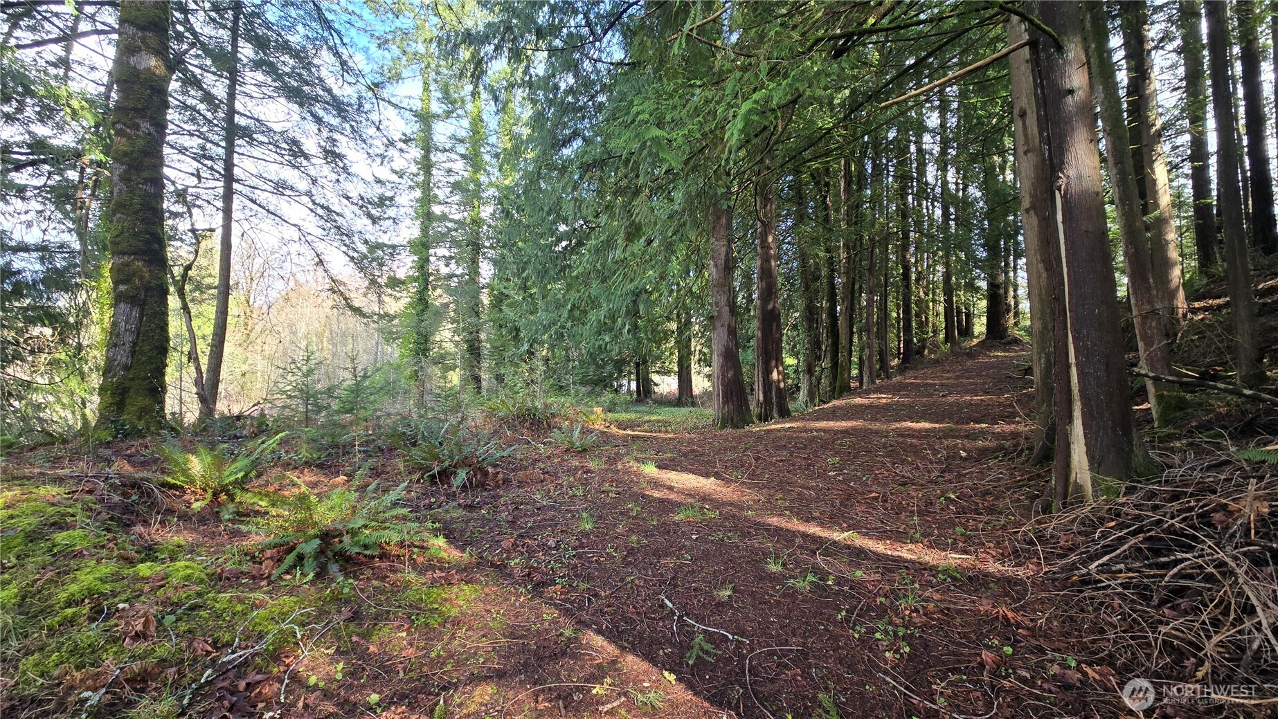 7948 Fir Street Property Photo 4