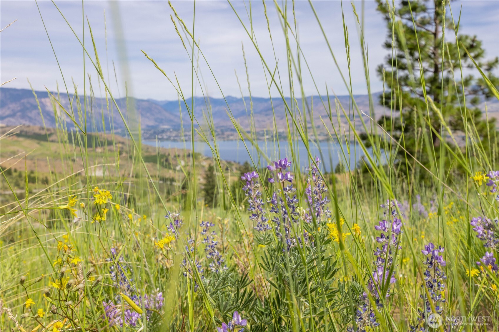 23 Eagle Crest (Lot 23) Road Property Photo 1