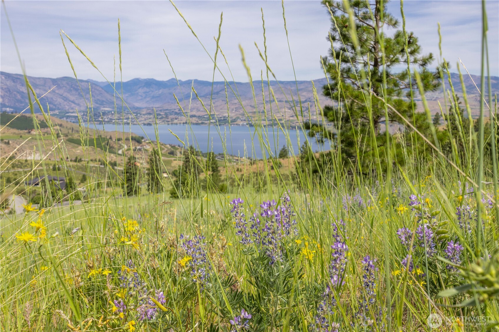 23 Eagle Crest (lot 23) Road Property Photo 3