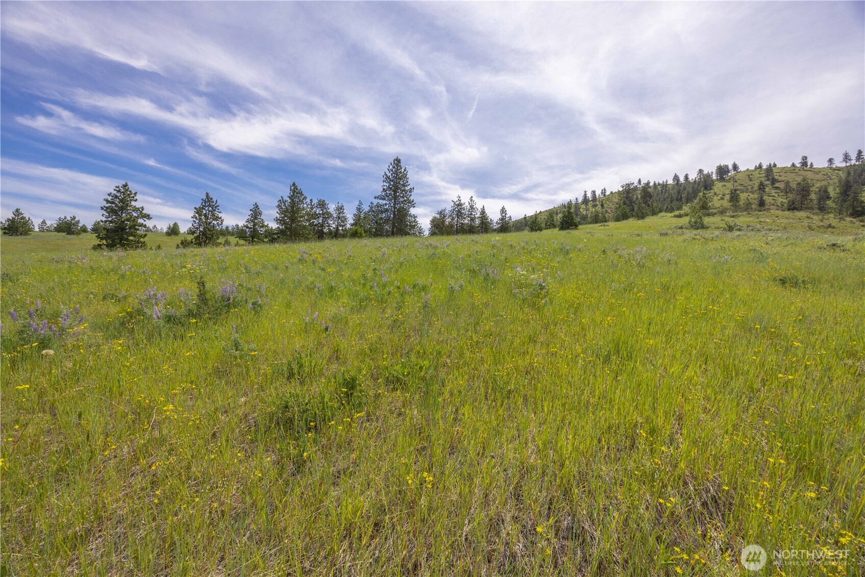 23 Eagle Crest (lot 23) Road Property Photo 28