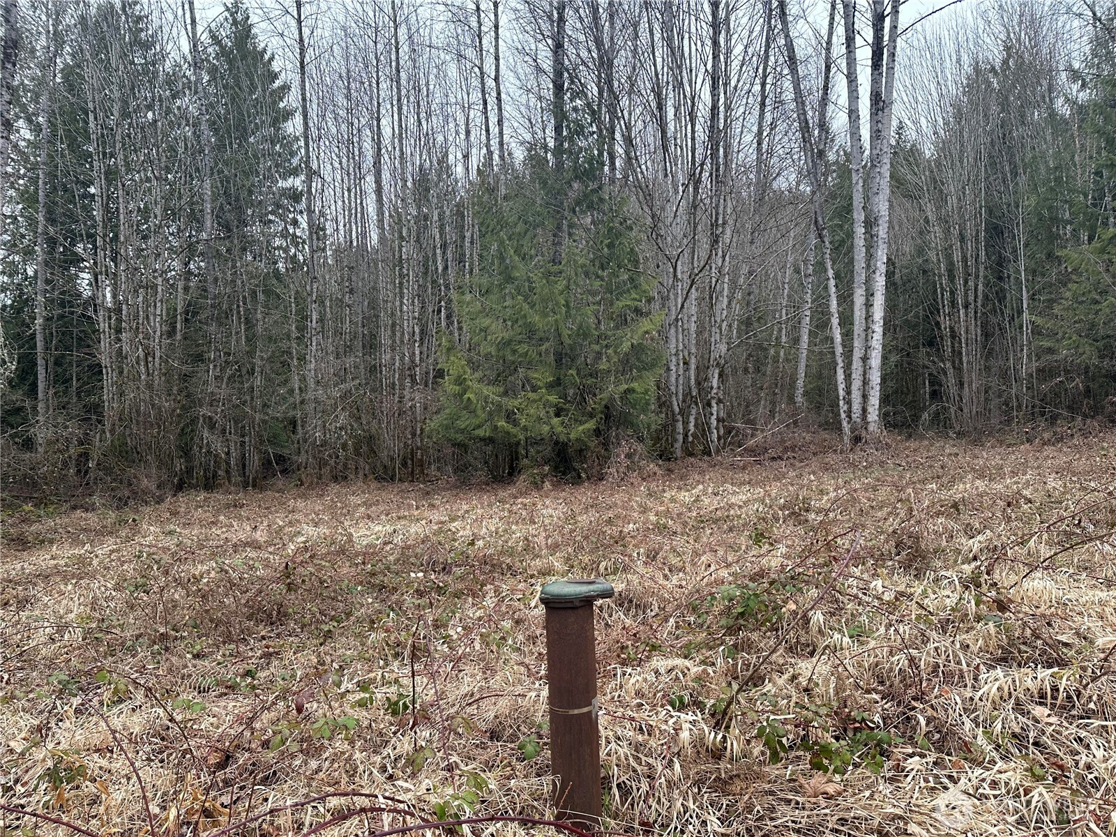 0 Sled Run Road Property Photo 7