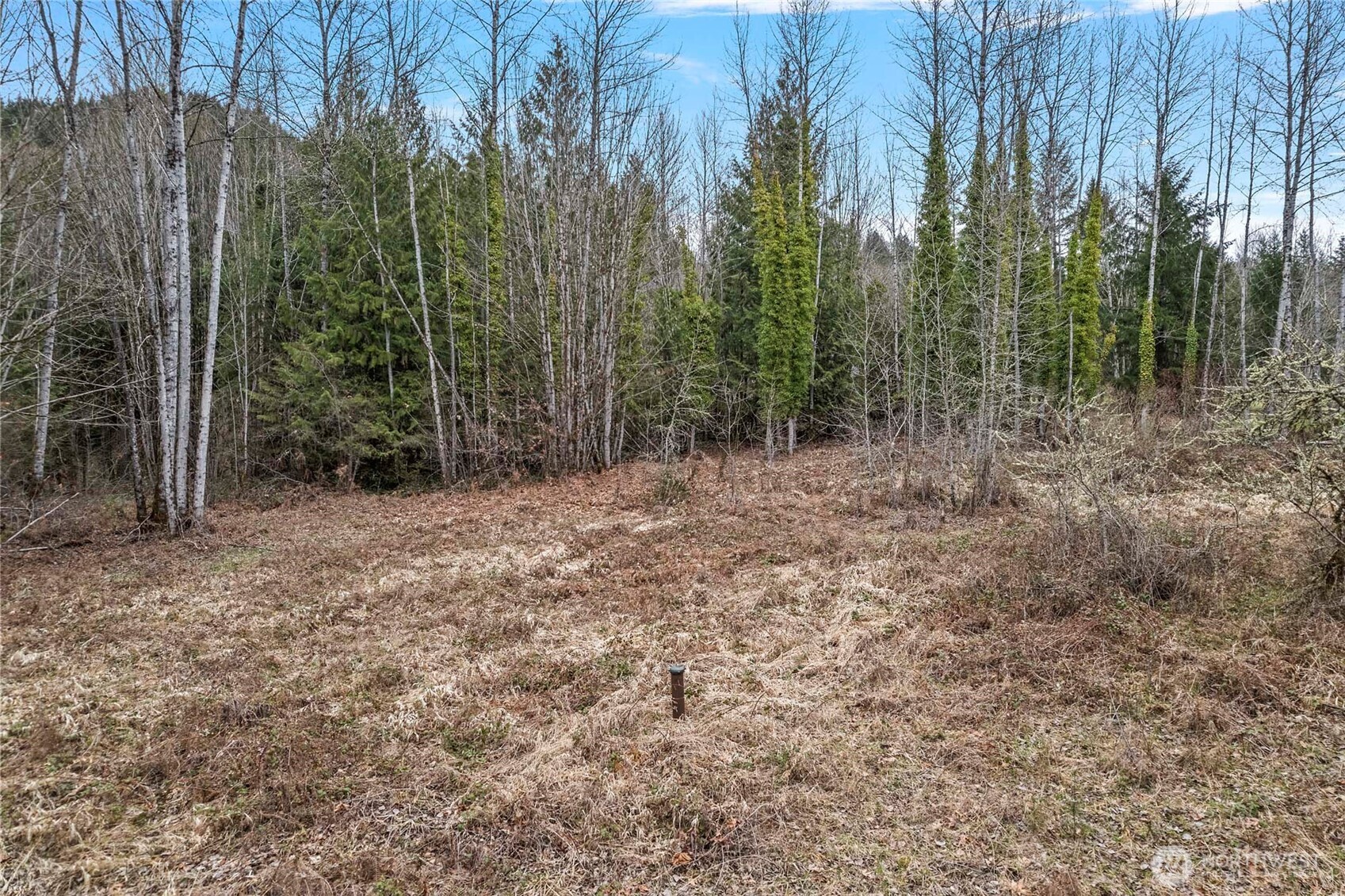 0 Sled Run Road Property Photo 8