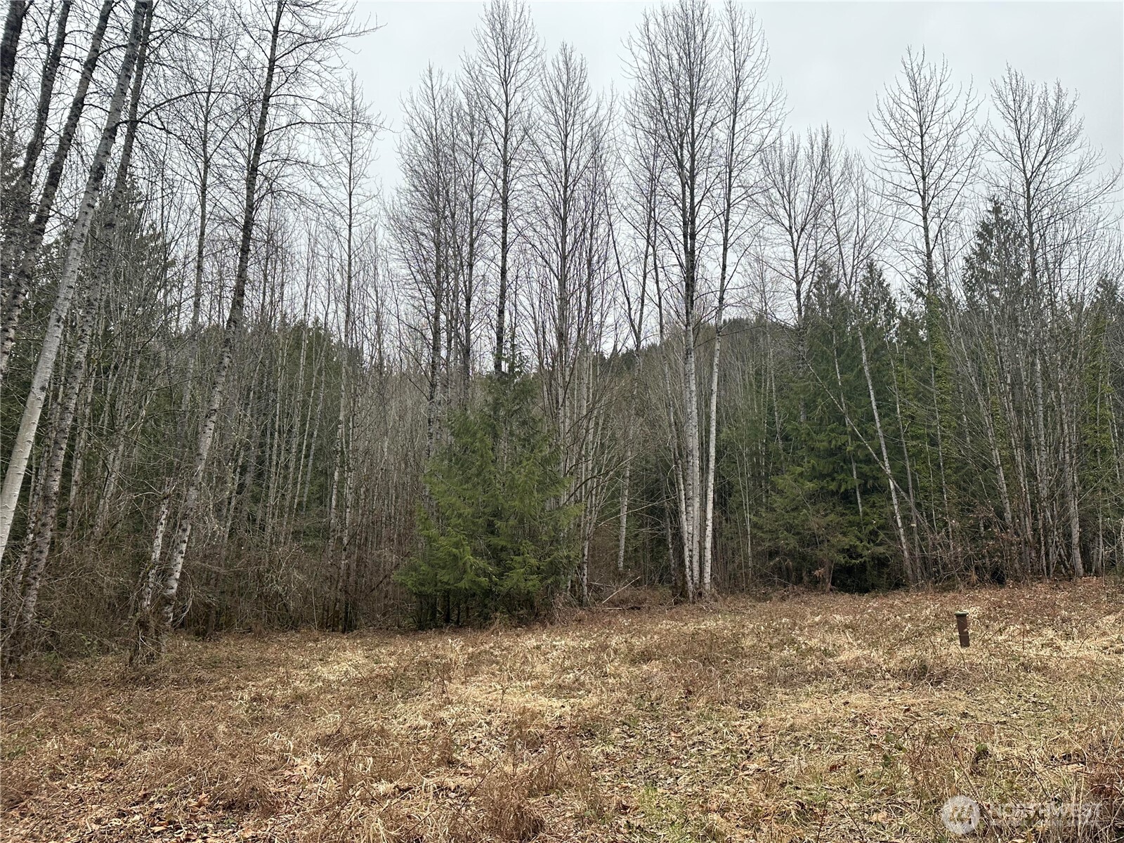 0 Sled Run Road Property Photo 9