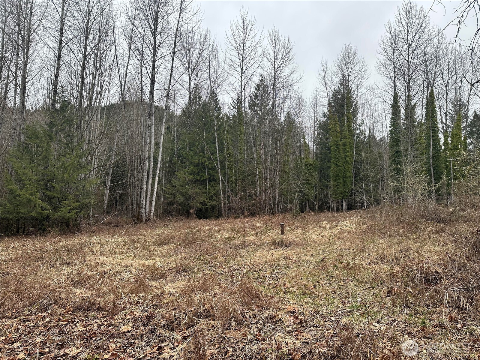 0 Sled Run Road Property Photo 10