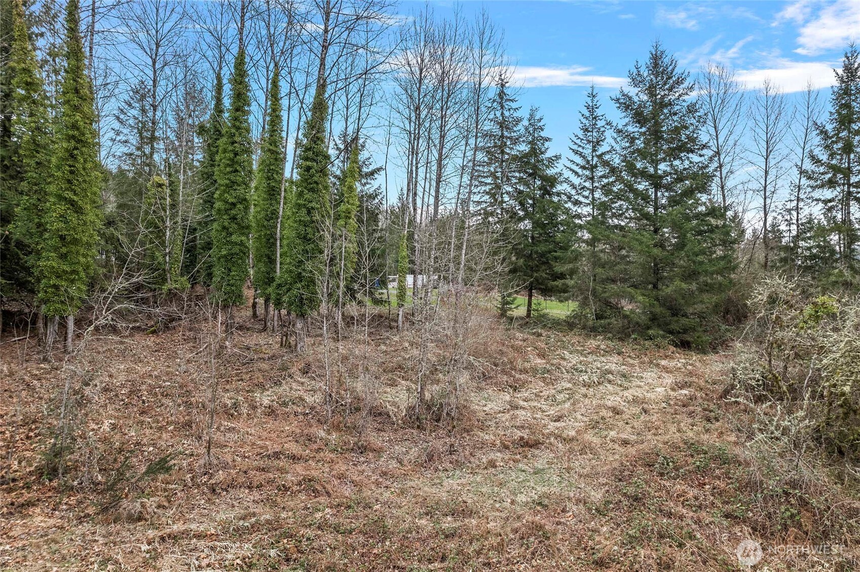 0 Sled Run Road Property Photo 11