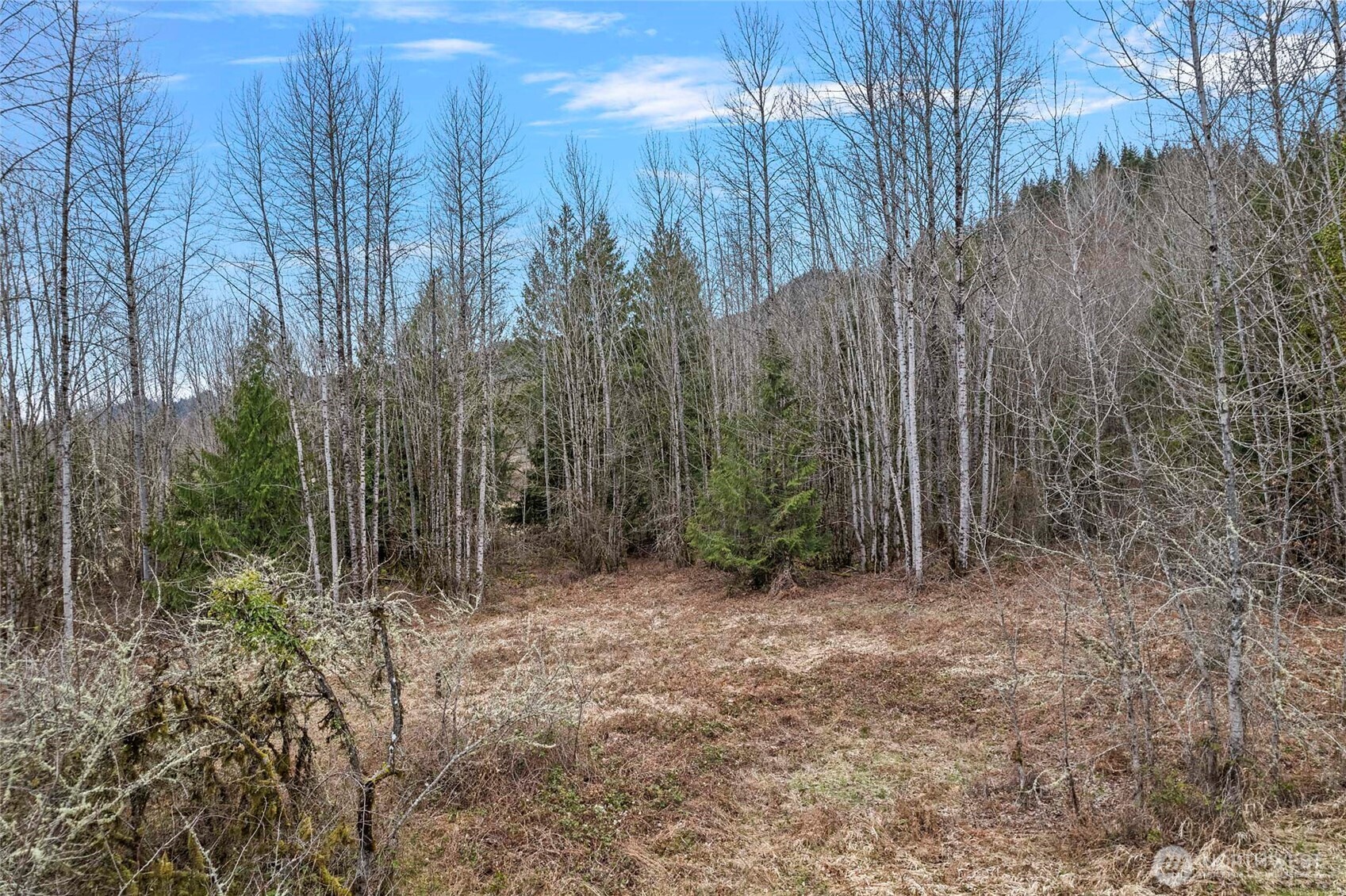 0 Sled Run Road Property Photo 12