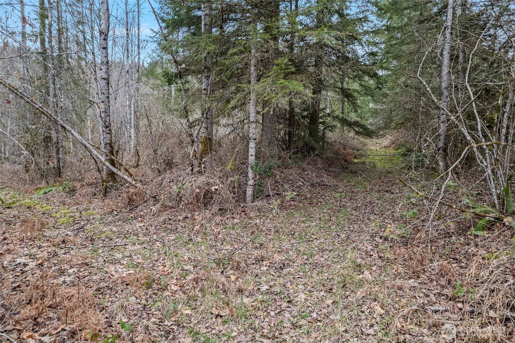 0 Sled Run Road Property Photo 13