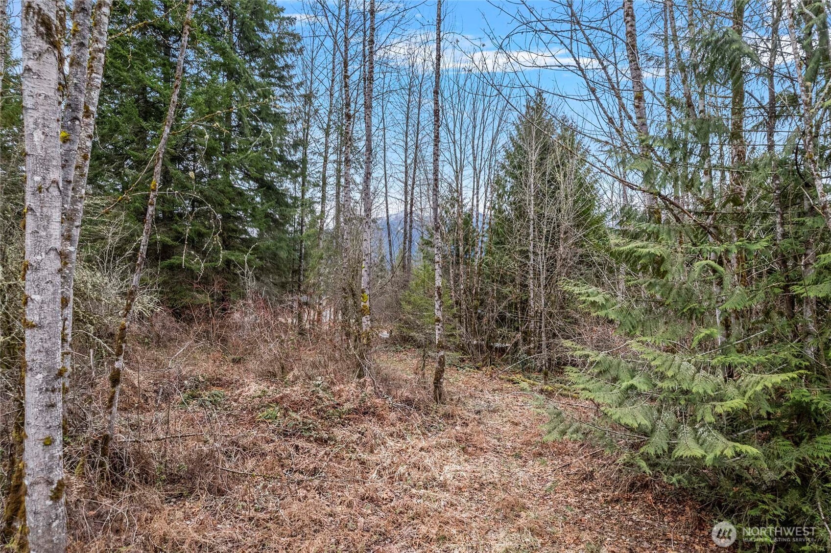 0 Sled Run Road Property Photo 14