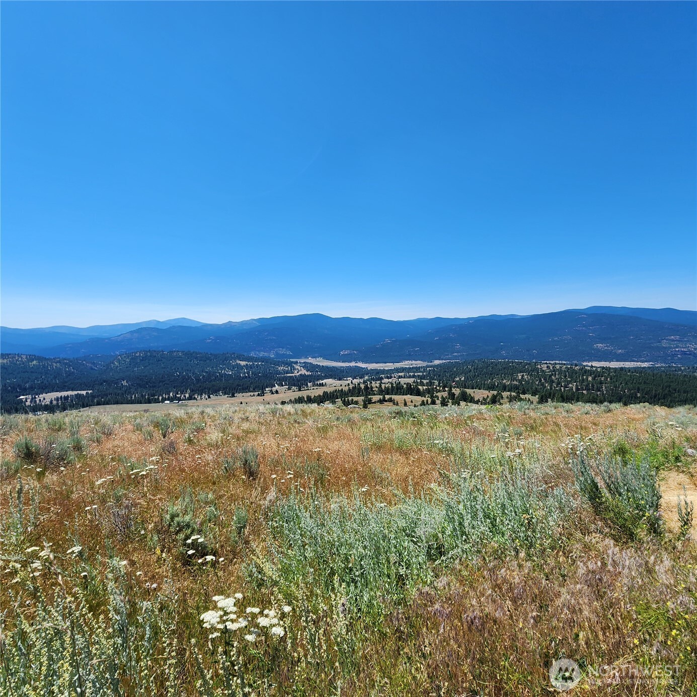 0 Xx Cabin View Drive Property Photo 19