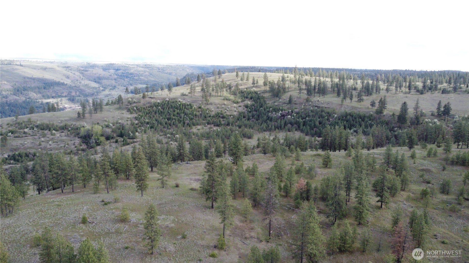 0 Xxx Miles Creston Road Property Photo 5