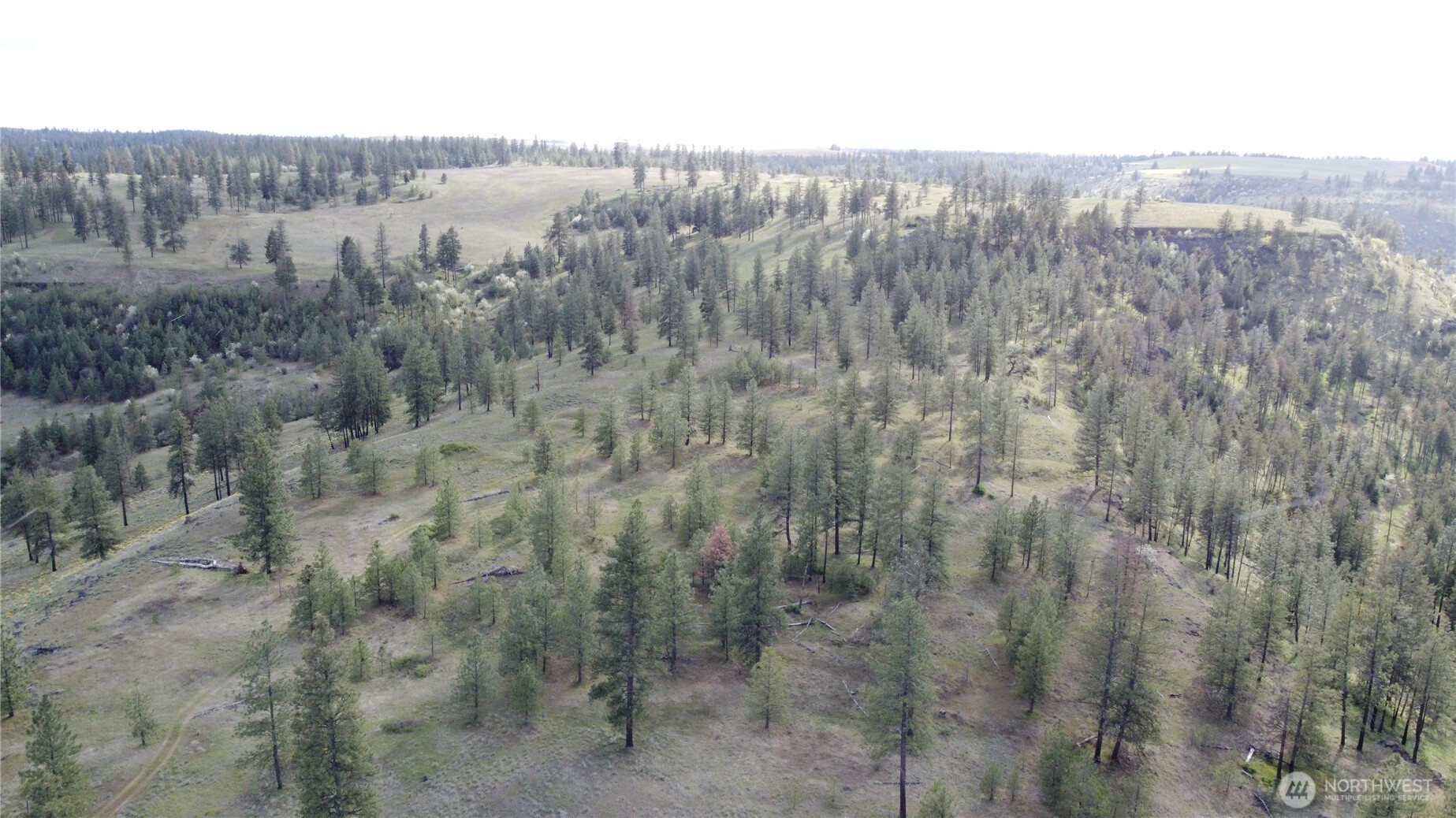 0 Xxx Miles Creston Road Property Photo 6