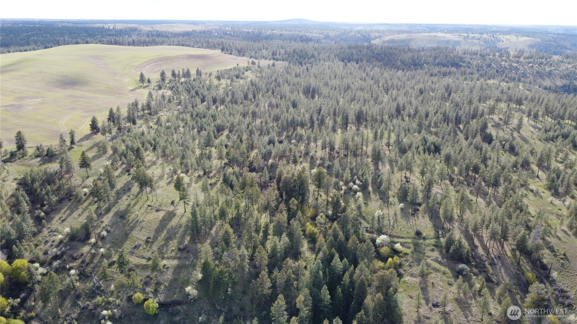 0 Xxx Miles Creston Road Property Photo 10