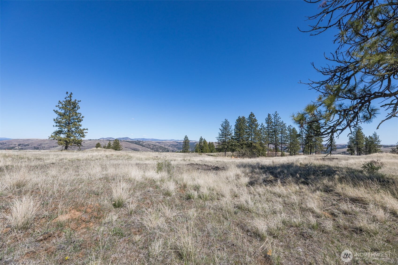 0 Xxx Miles Creston Road Property Photo 12