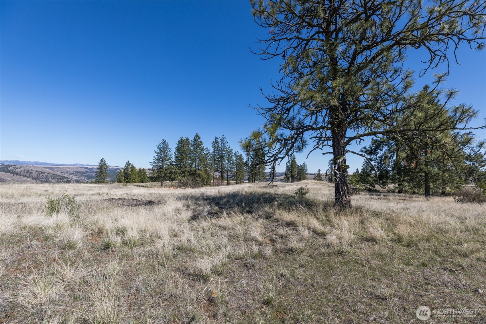 0 Xxx Miles Creston Road Property Photo 13